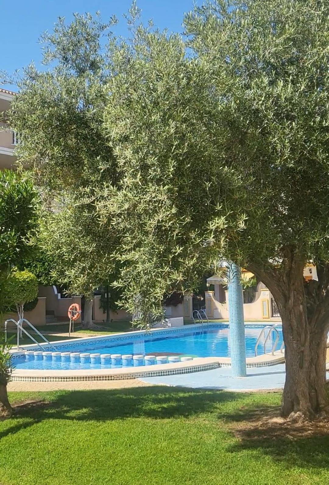 Eugenio, Aldeas De Aquamarina Ii,cabo Roig , And Quiet Place Communal Swimming Pool Appartement