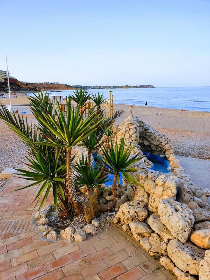Eugenio, Aldeas De Aquamarina Ii,cabo Roig , And Quiet Place Communal Swimming Pool Orihuela